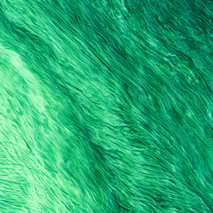 Beautiful abstract background - a large water surface covered with algae