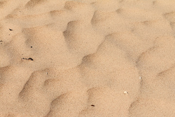 sand close up view, natural abstracted background
