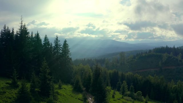 Forest mountains green field hill jungle treen aerial