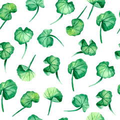 Seamless pattern with Gotu Kola watercolor. Design with Gotu Kola for printing on fabrics, packaging paper, dresses, clothing. Ayurveda. Ayurvedic herbs. Medicinal herb. Watercolor painting.