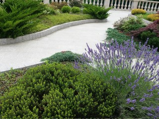 Landscape design summer garden at Holy Trinity Monastery, Batumi, Georgia