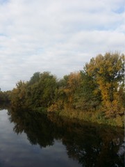 Beautiful autumn landscape forest and river with water reflection day light  Sumy region Ukraine