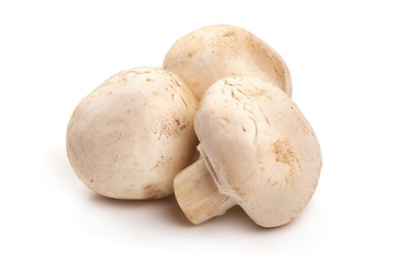 Champignon mushrooms, isolated on white background