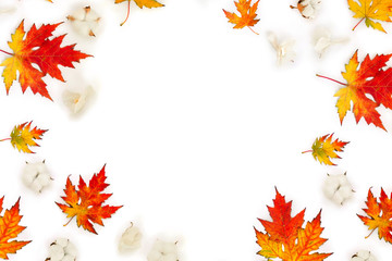 Autumnal frame of maple leaves, cotton flowers, dry white flowers orchid on white background with space for text. Top view, flat lay