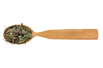 Dried Thymus in a wooden spoon on a white background. Phytotherapy and disease prevention. Herbal...