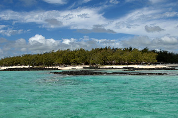 beach of the island of deer,