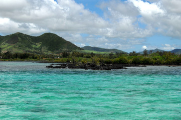 beach of the island of deer,