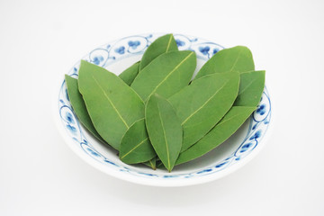和食器に入った乾燥前の月桂樹（ローレル）の葉