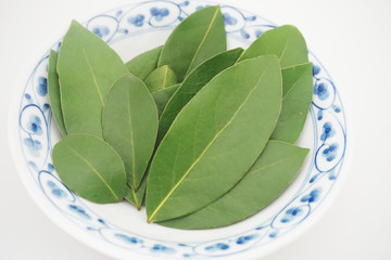 和食器に並べられた乾燥前の生の月桂樹（ローレル）の葉のアップ