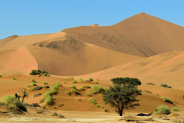 BIG SAND DUNES AND DESERT LANDSCAPE IN NAMIBIA