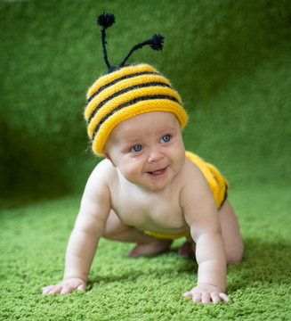 baby six months old in a bee costume