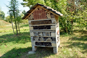 Budka dla zimujących pszczół © Pawe