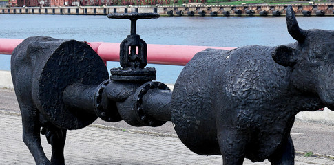 CO2 barrier.  A tap between the stomach and rectum.