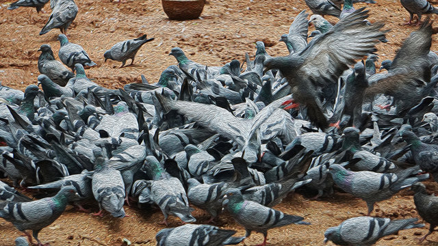 Crowded pigeons at Cubbon Park, Bangalore, India.  (Oil Painting Version)