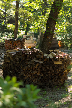 firewood piled in the gurden
