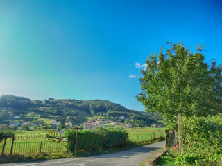 Fototapeta na wymiar Basque Country Landscape in summer