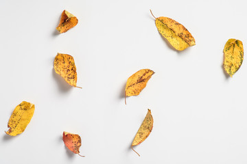 Naklejka premium Autumn composition. Autumn dried leaves on white background. Flat lay, top view
