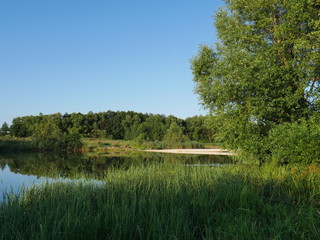  forest with river and bridge. in the village