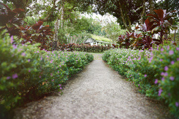 Valley road in sunny park