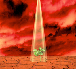 a young plant grows from a dry red earth under a light beam. Dramatic red sky background. Concept of the birth of new life
