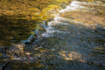 Fluss klares Wasser Steine