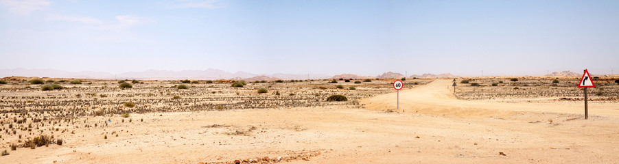 Unpaved road through the Namib desert in West Namibia; some roads signs fill the emptyness.