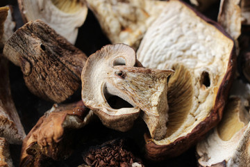 Dried edible forest porcini mushrooms.