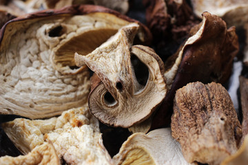Small dried forest porcini mushrooms.