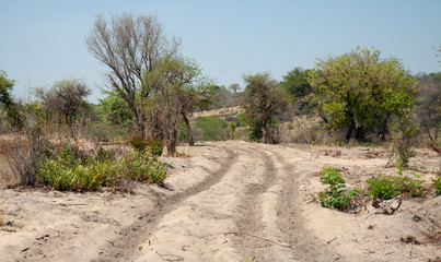 Unpaved road in the savannah of Northern Namibia