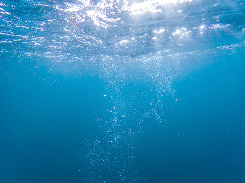mediterranean sea underwater