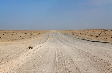 Unpaved road in the Namib desert, Namibia