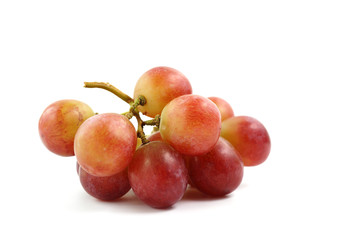Red grapes on the vine on a white background