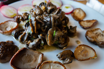 Snail food with mushrooms

