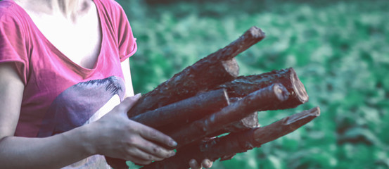 The girl carries in her hands an armful of dry firewood for the fire