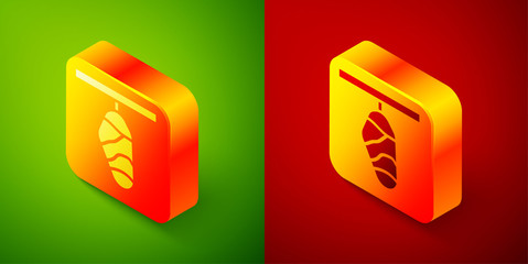 Isometric Butterfly cocoon icon isolated on green and red background. Pupa of the butterfly. Square button. Vector.