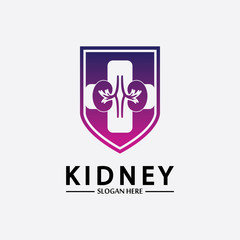 Kidney Shield Logo Template Design Vector, Emblem, Design Concept, Creative Symbol, Icon.