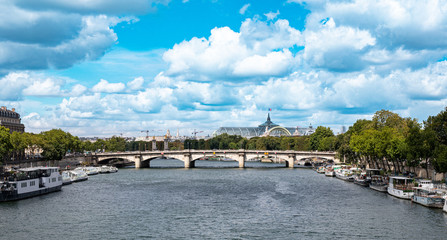 Fototapeta na wymiar paris seine river in the summer