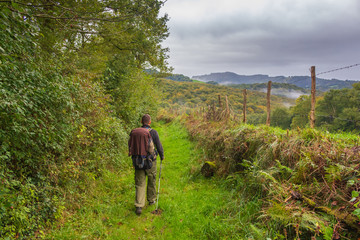 Tourist with backpack walk in forest. Hiking in mountains. Pilgrim on Camino de Santiago, France. Pilgrimage on French Camino. Backpacker on trail in countryside.  Sport concept. Healthy lifestyle. - obrazy, fototapety, plakaty