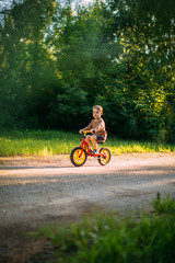 Obraz premium Cute little boy rides a bicycle on a path in nature. Learning to ride a bicycle. Summer walks