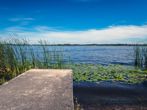 A river view with yellow water lilies and pier, Serock area, Poland