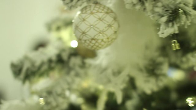 christmas tree lights
