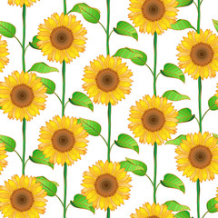 Sunflower seamless pattern. Sunny yellow artwork. Botanical vector illustration for textile, wrapping paper, wallpaper, fabric, decor. Isolated organic art.