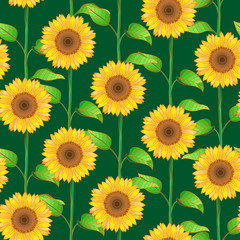 Sunflower seamless pattern on green background. Sunny yellow artwork. Botanical vector illustration for textile, wrapping paper, wallpaper, fabric, decor. Isolated organic art.