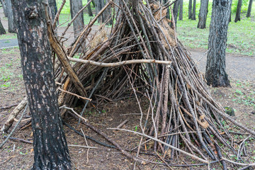 hut made of tree branches in a city Park