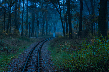 Rails of a narrow gauge railway in a foggy mystical forest, foggy forest and narrow gauge rails, dark photo