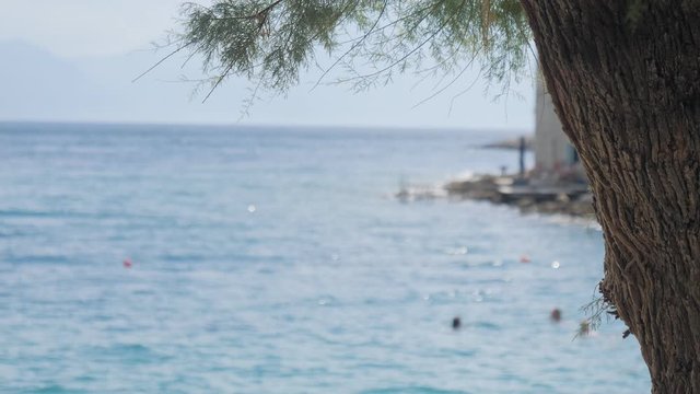 Beautiful turquoise sea on a sunny summer day. View from the shade under the trees. Adriatic Sea, island of Brac, Croatia.
