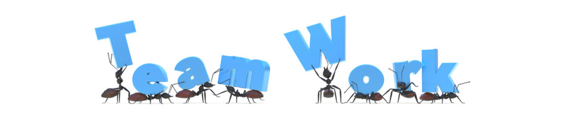team work concept title with ants