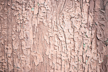 Old wooden planks with peeling paint. Background for design. Old board. The effect of weather on wood