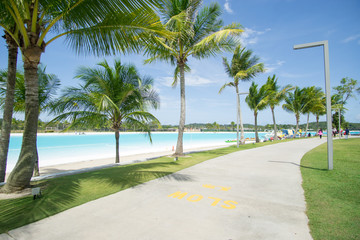 Fototapeta premium tropical beach with palm trees at lagoi, bintan
