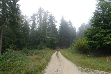 Donau-Ries in Bayern/Deutschland Landschaft